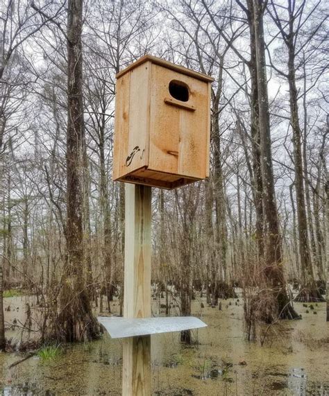 wood duck nesting boxes styles